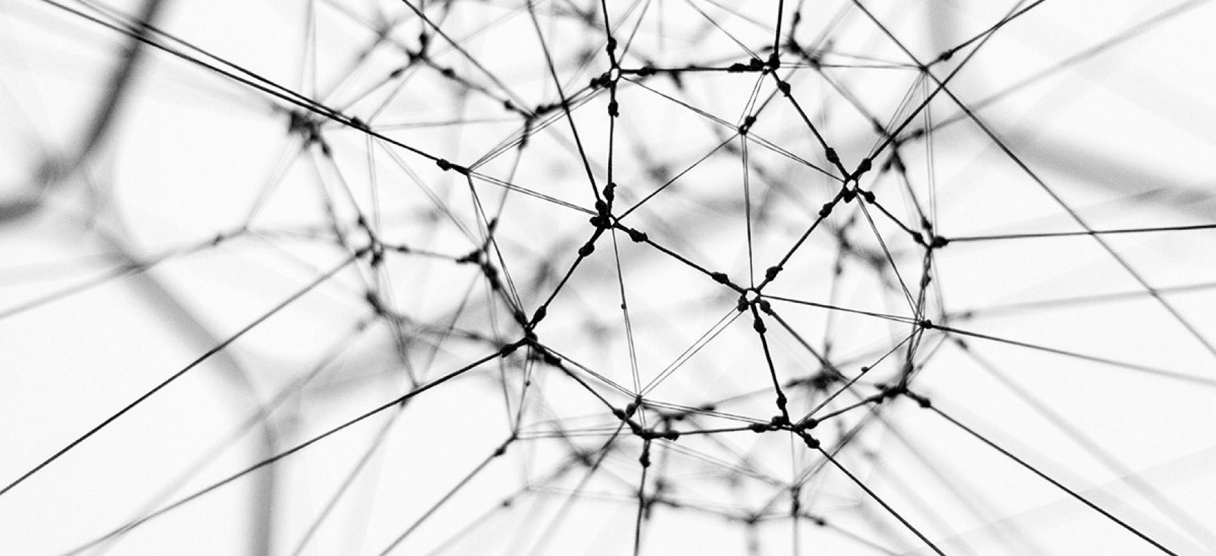 Some sort of strings creating a network.
