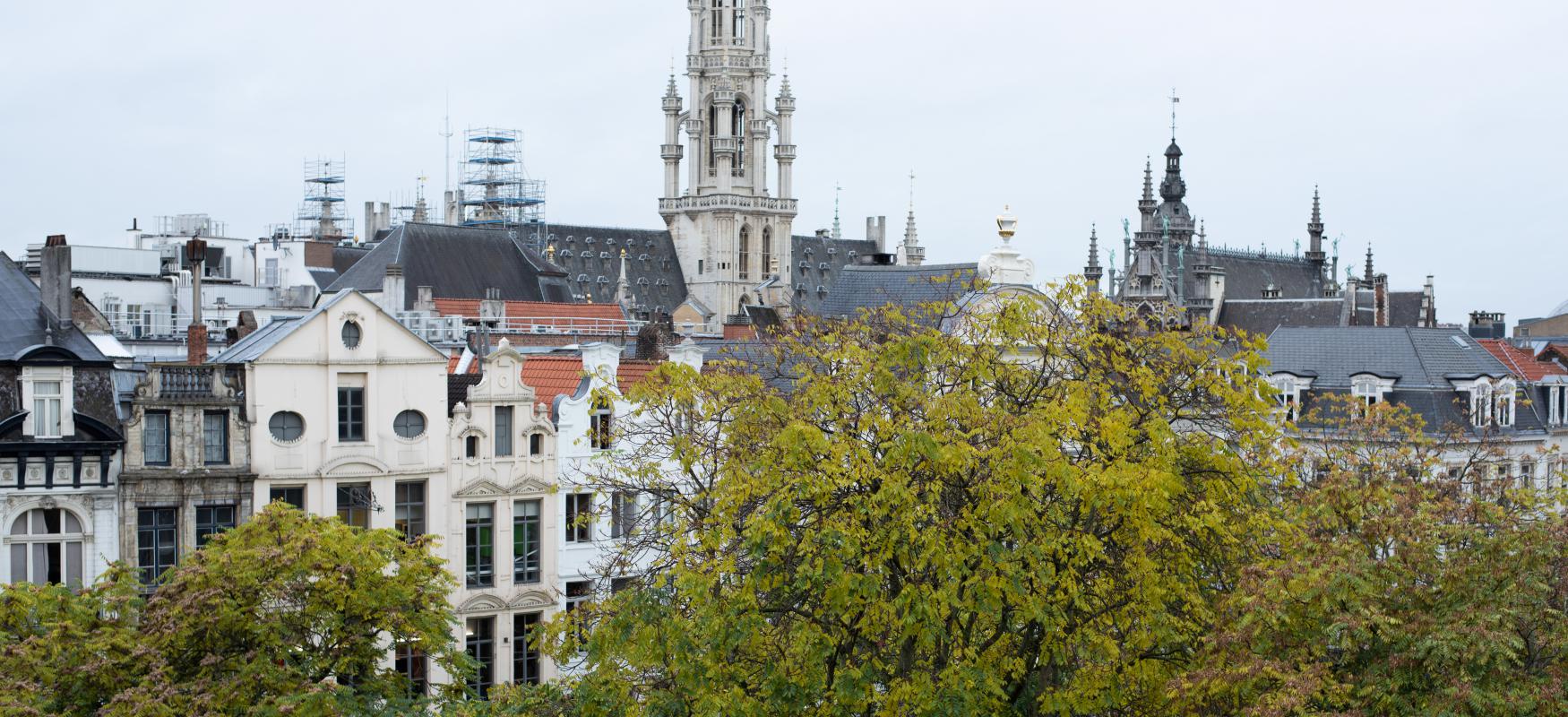 Brussels rooftops with the top of the  trees from the town square