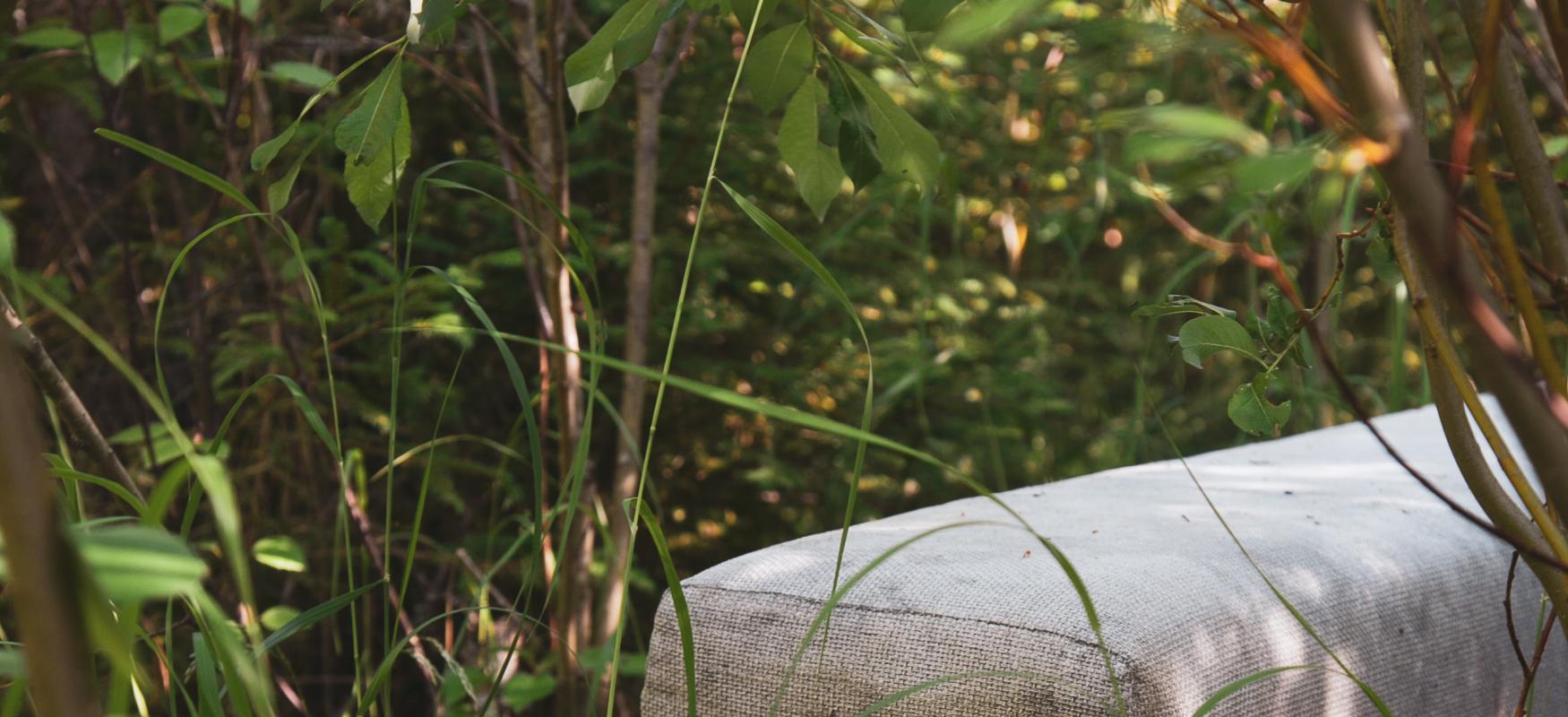 couch standing in the forest