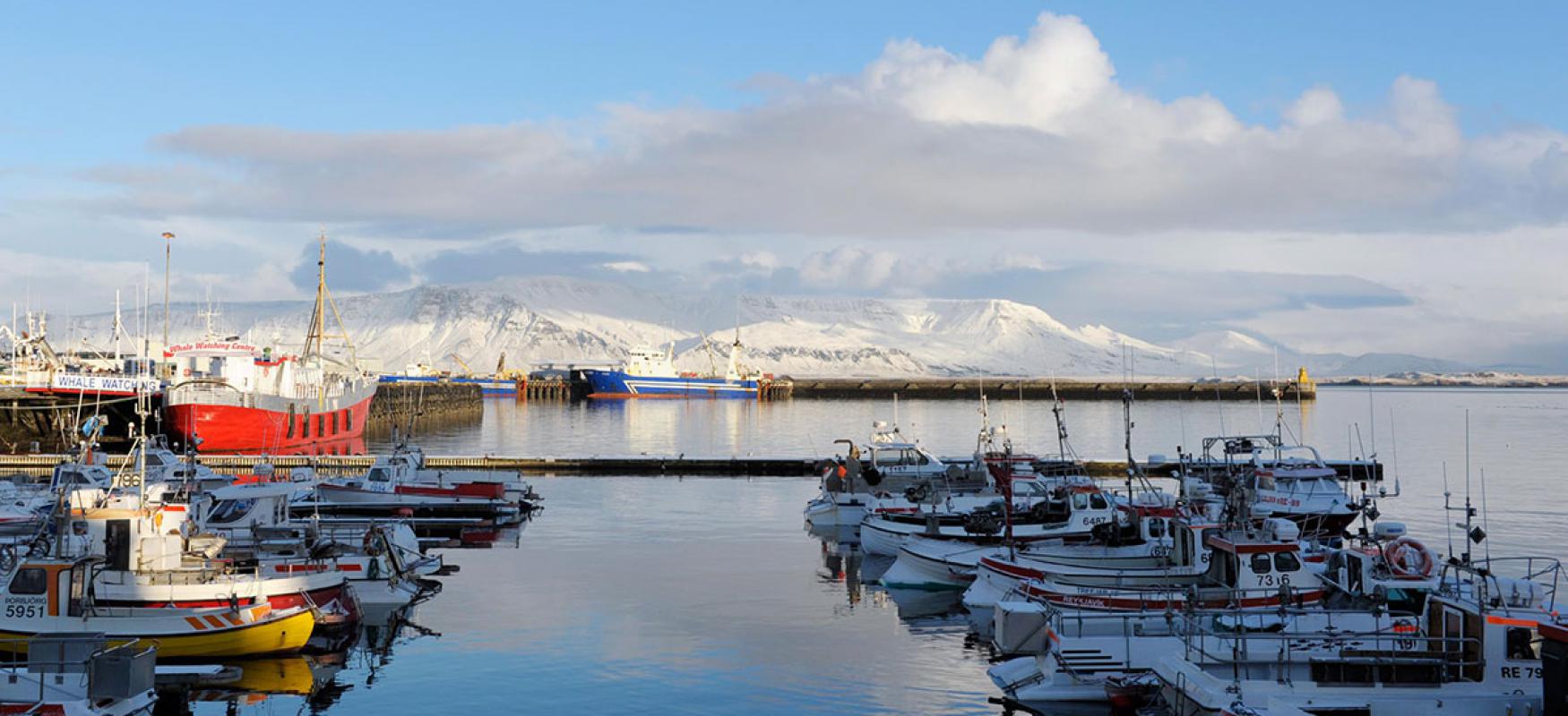 View from the harbour in Reykjavik