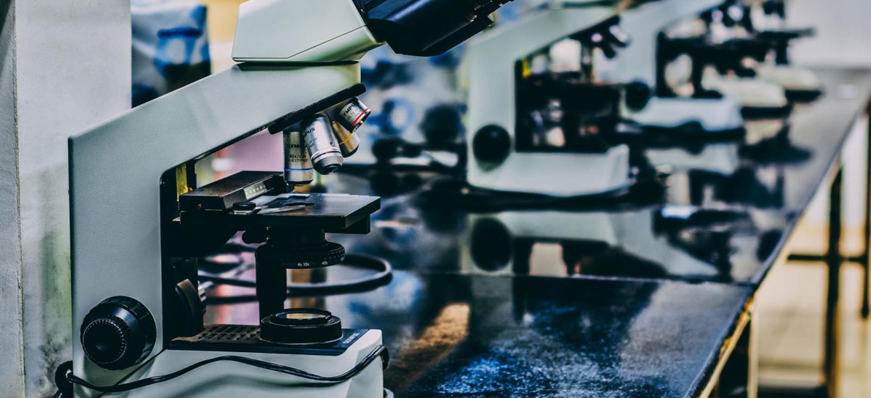 Microscopes in a row on a bench.