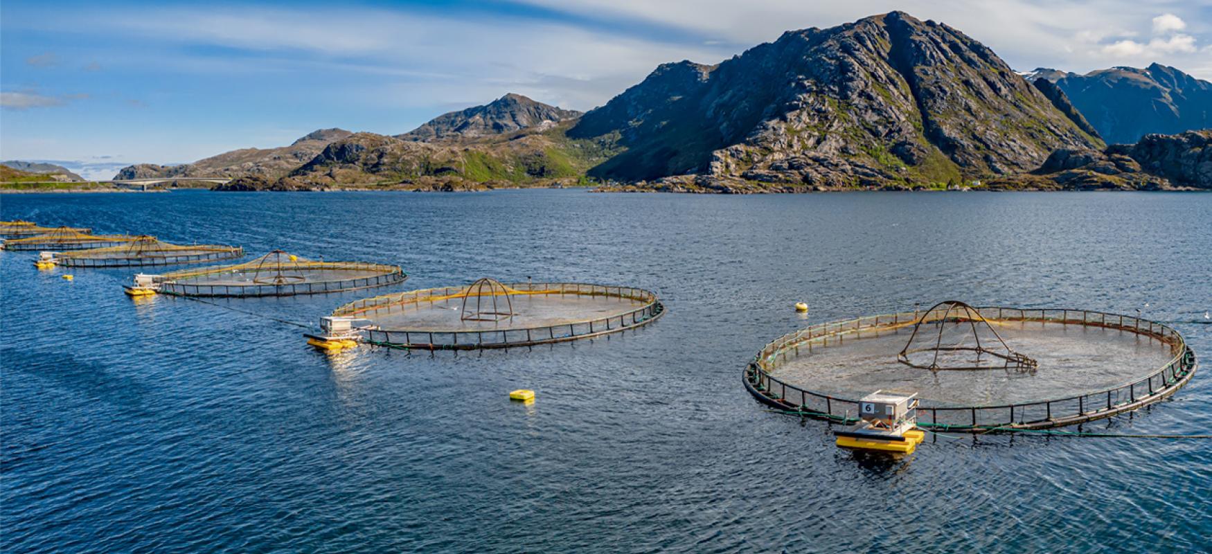 Fish farming in Norway