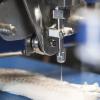 Automated pin-bone removal in a whitefish