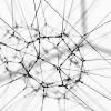 Some sort of strings creating a network.