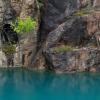 Cliff wall by blue water. Small tree growing from the wall.