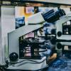 Microscopes in a row on a bench.