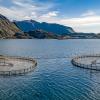 Salmon farms in Norway