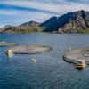 Fish farming in Norway