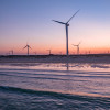 several wind turbins sanding on the beach and into the horizon
